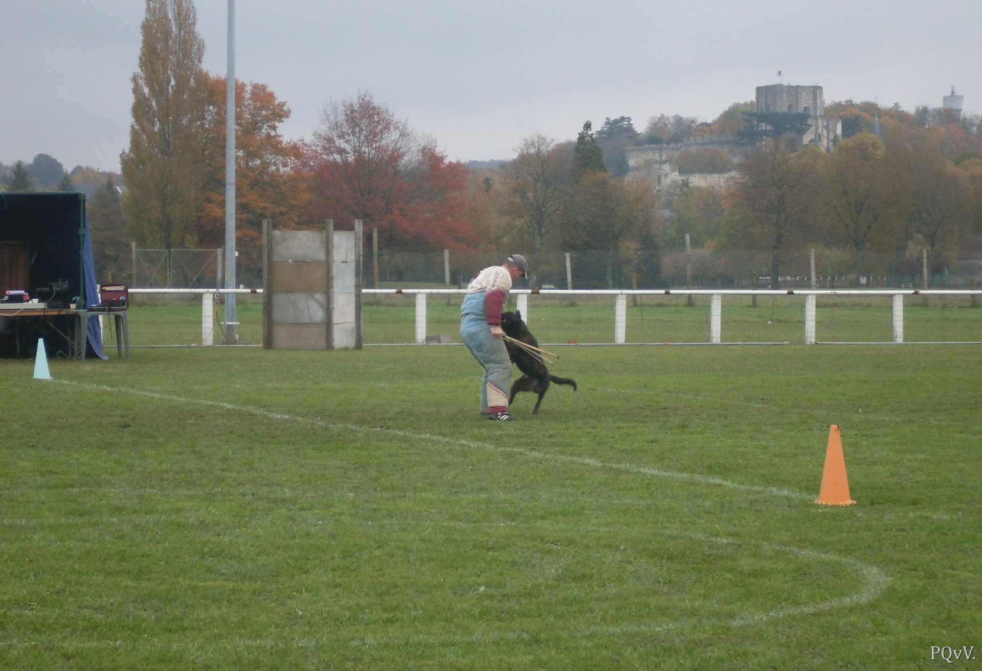 Chabal du Domaine des Sphinx Noirs 